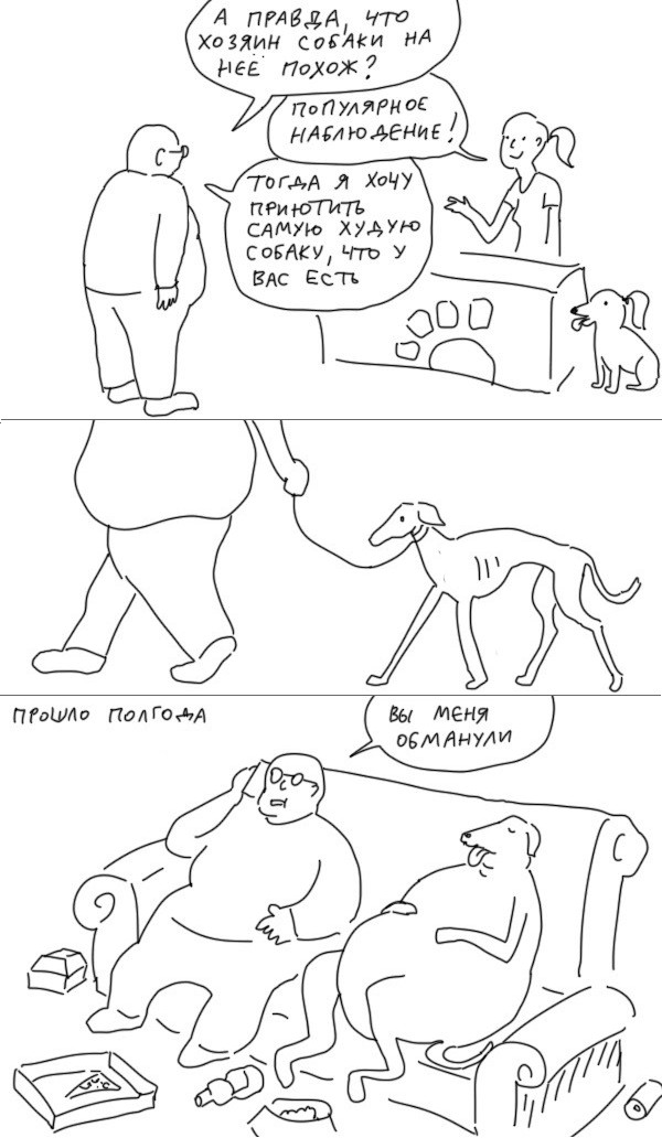 Обманули (комикс)