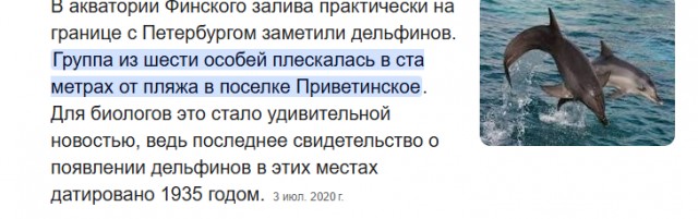 РПЛ без прикрас и модераций 5