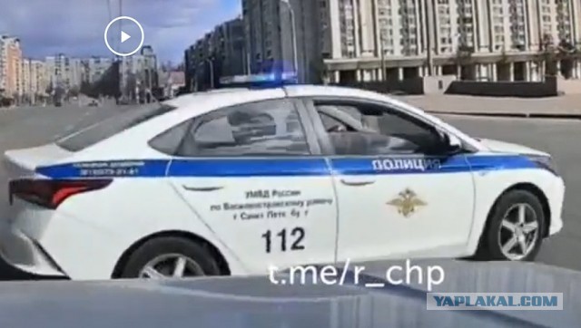 Главное – крякалку включить в нужный момент