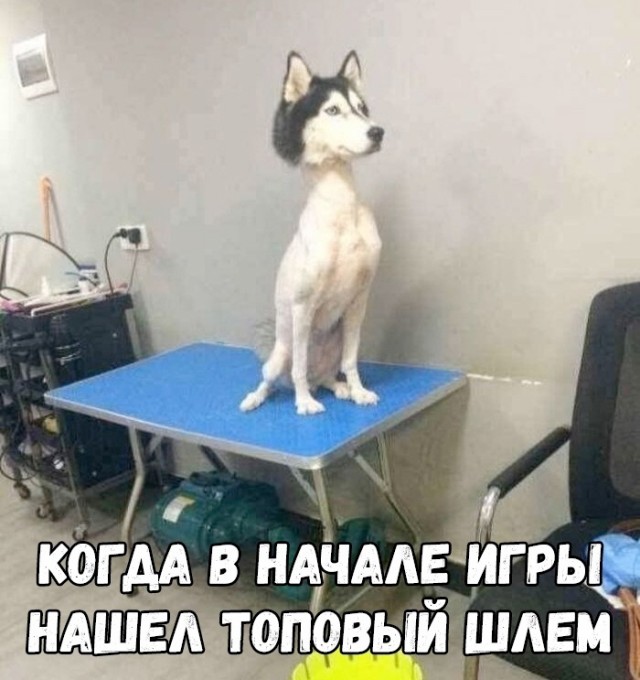 Картинки разные с надписями и без