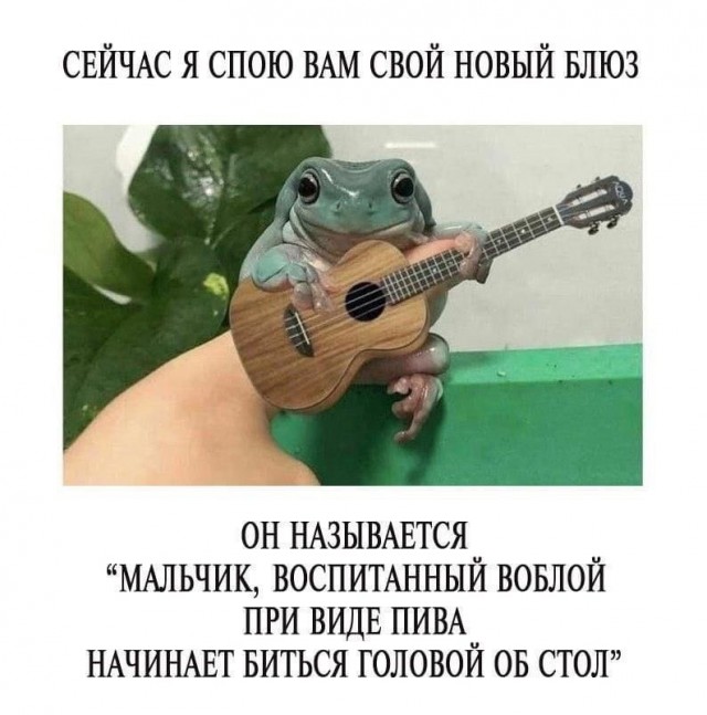 Так себе картинки 29.04.25