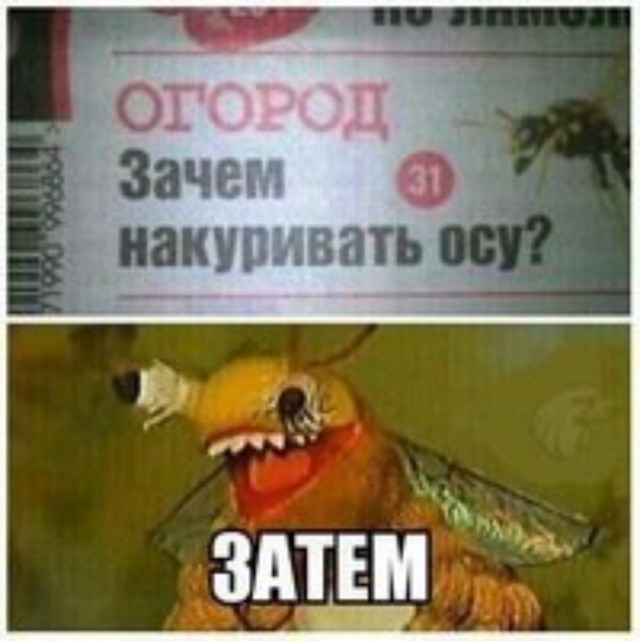 Что за фигня с домом в "Деревне дураков"?