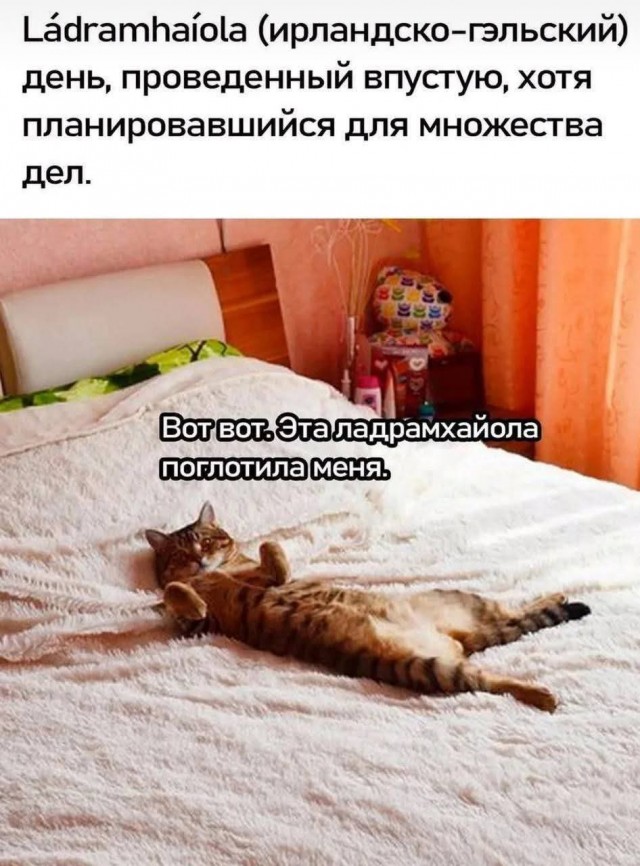 Так себе картинки 24.08.25