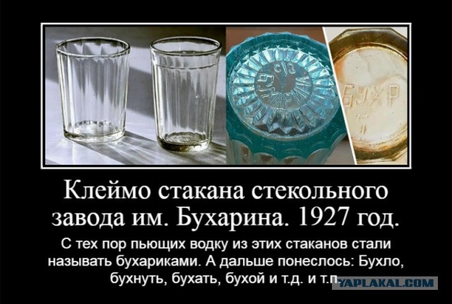 11 сентября, пить или не пить вот в чем вопрос?!