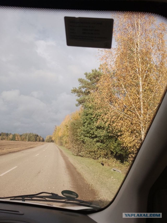 Жизнь домашнего приюта для котеек 561