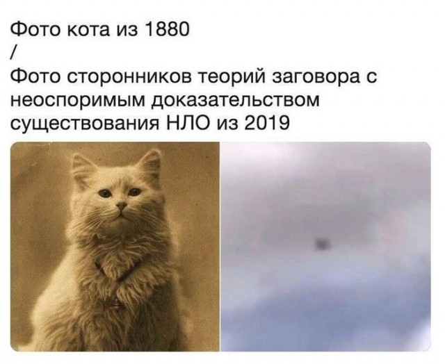 Теория заговора