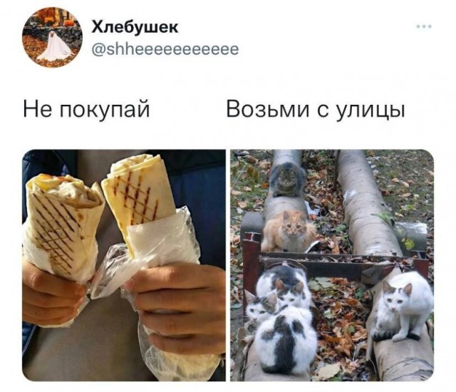 Чёрно-пошлая деградация