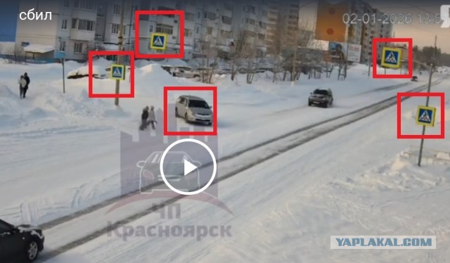 Осторожно, жесткие кадры.