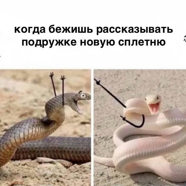 Отсутствие морального этических норм Vol.60