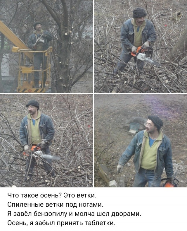 Грачи прилетели!