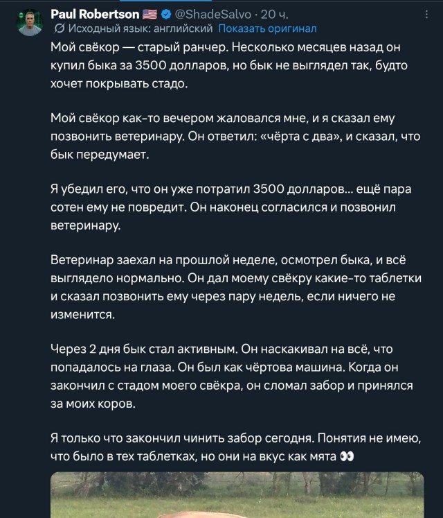 Американский юмор