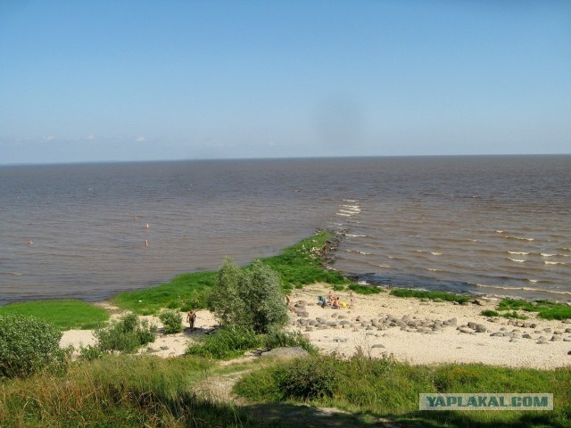 Лодка долблёнка