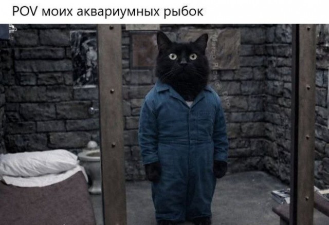 Воскресная мешанина