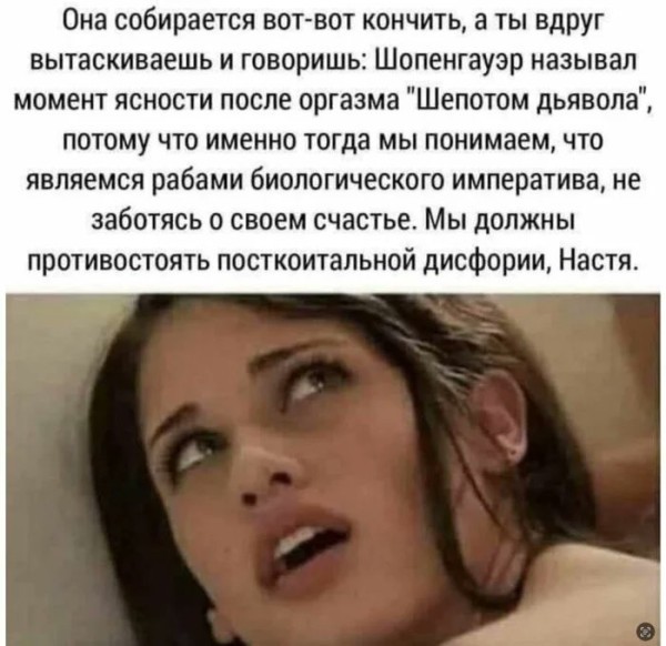 О Шопегауэре