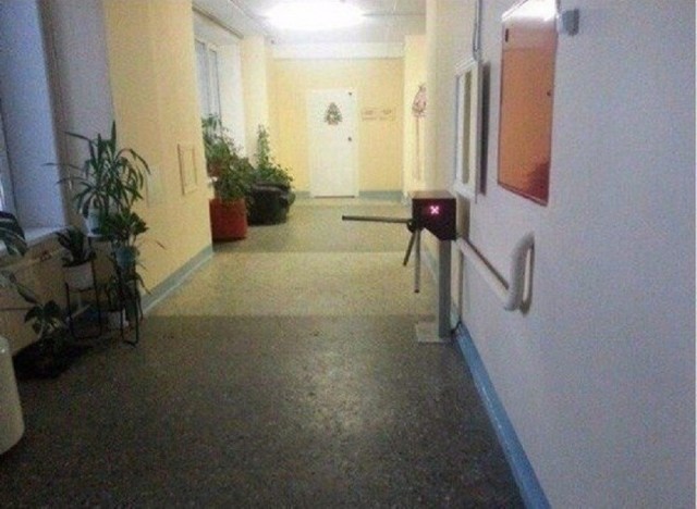 Так себе картинки 31.07.26