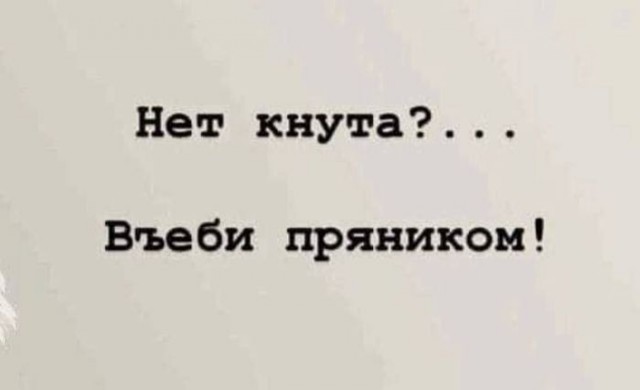 Картинки для деградации 258 ( разной степени свежести)
