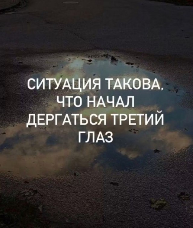 В России хотят сажать на 6 лет за оскорбление женщин «разведёнкой с прицепом»
