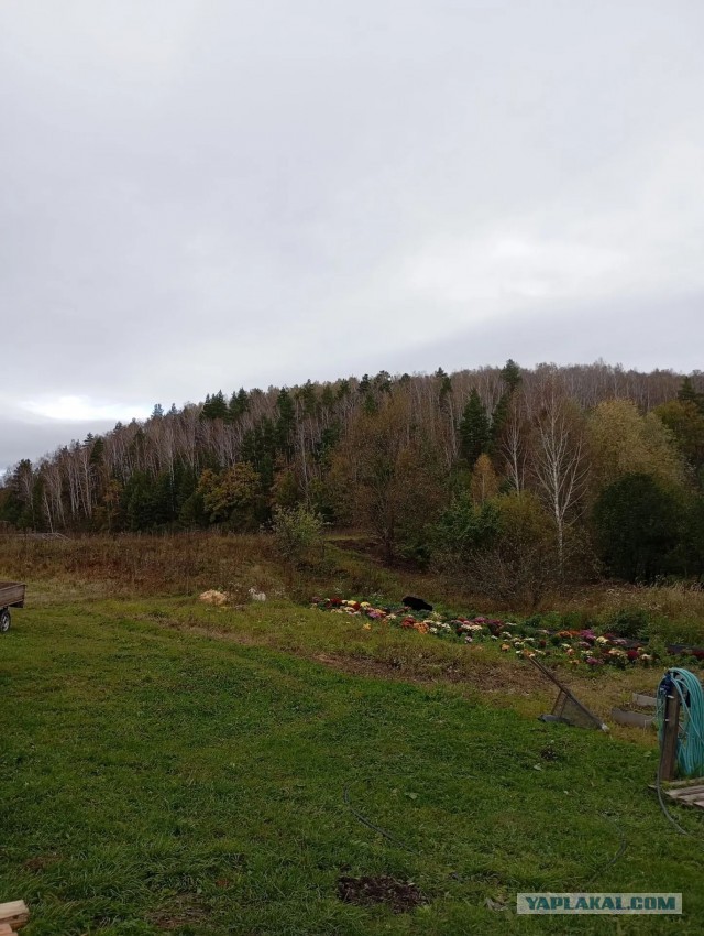 Все краски осени