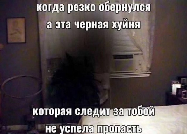 Картинки для деградации 308 (разной степени свежести)