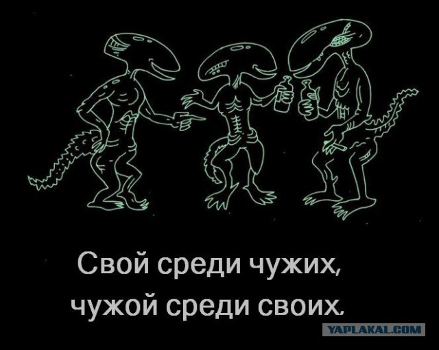 Тащит из будущего