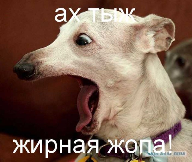 Похудеть быстро. Опыт технаря.