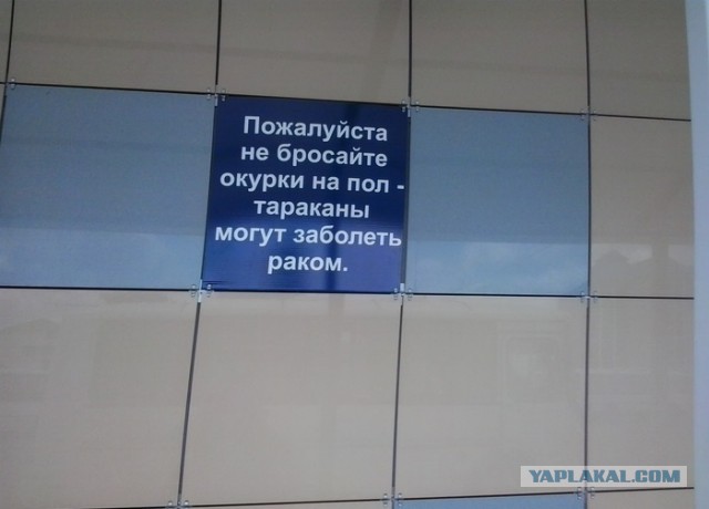 Картинки