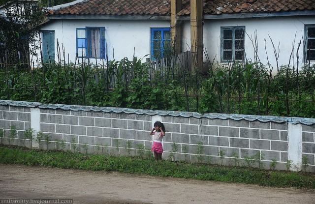 КНДР приоткрыла экспортные ворота для РФ