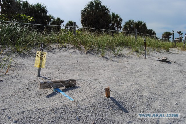 Каникулы во Флориде