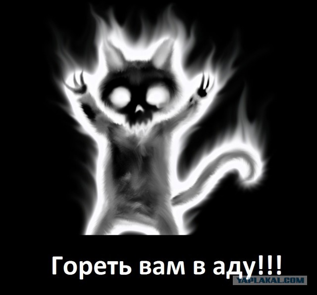 Кастрация кошек и котов