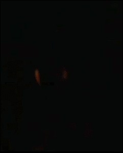 Слай знает, как выманить опасного зверя!