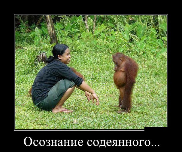 Картинки с просторов на четверг
