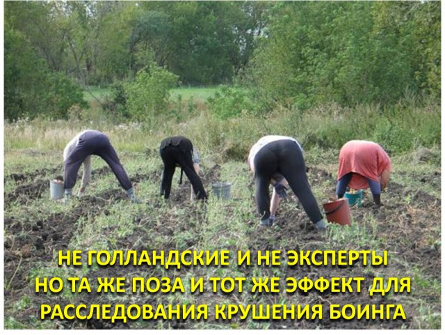 Голландские эксперты прибыли..