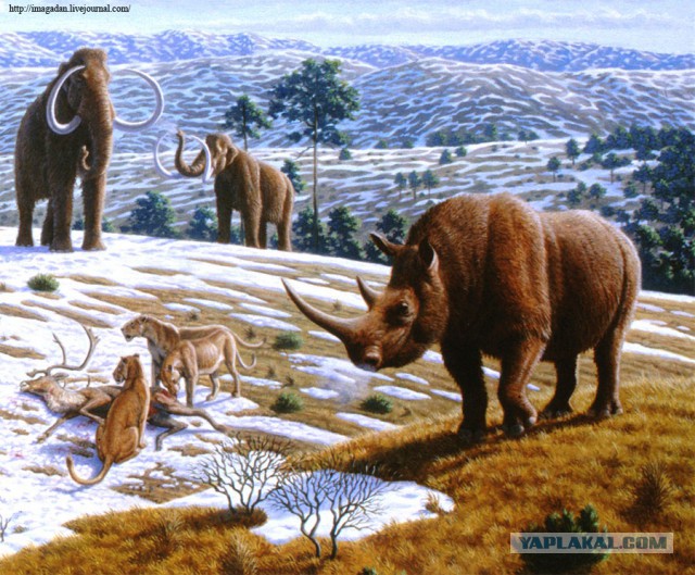 Перуанцы о русских. Три главных слова