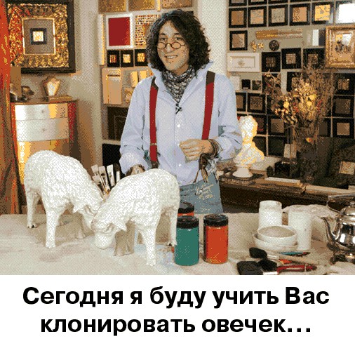 Фотожаба: Домашний Мастер