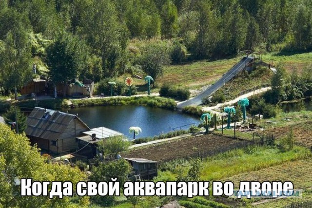 Картинки из сети