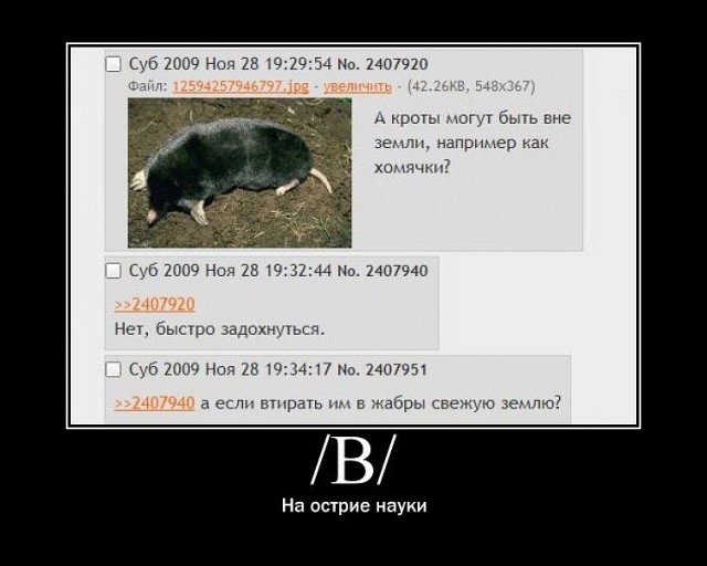 Подборка веселых и забавных картинок с просторов того самого