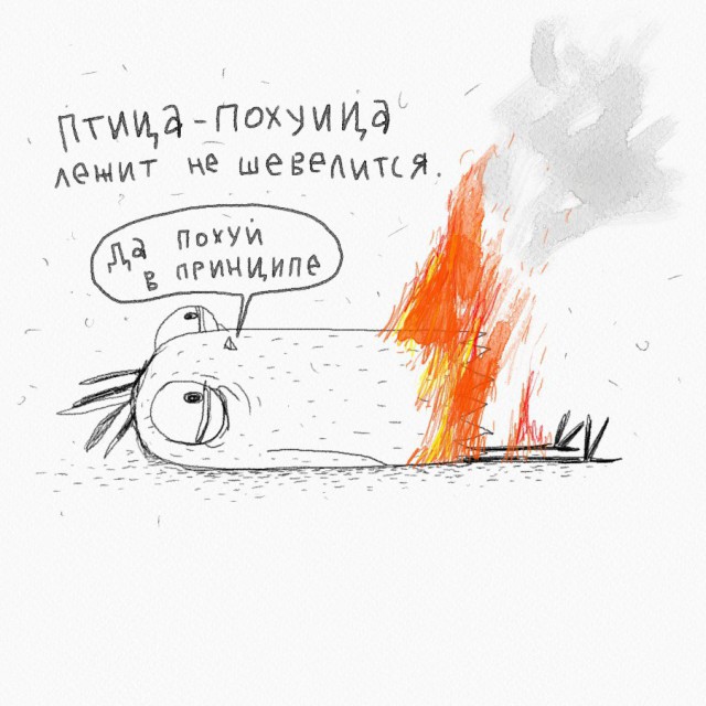 Порция пикчей из палаты №6