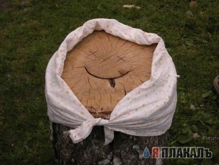 Пень, довольный пень!