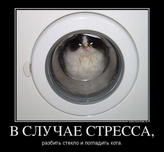 Тёмный юмор к началу недели