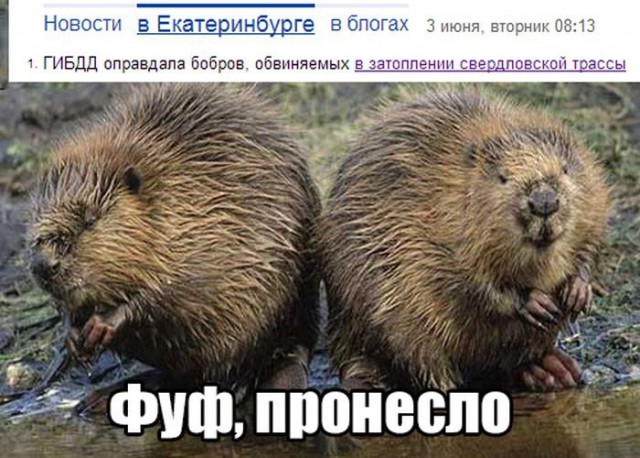 Подборка интересных и веселых картинок