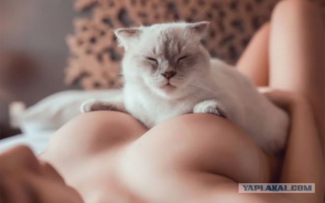 Подборка интересных и веселых картинок
