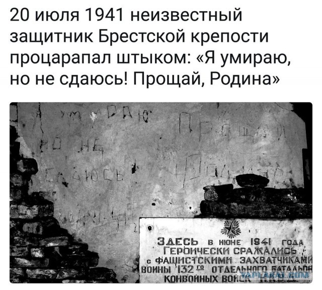 Терпеть не могу все эти токшоу. Но черт возьми сказано отлично!