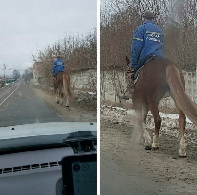 Да что тут вообще происходит?