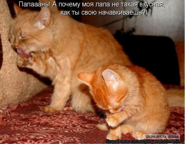 Мааамаааа!