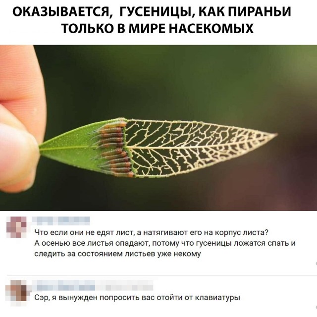 Нестандартный юмор
