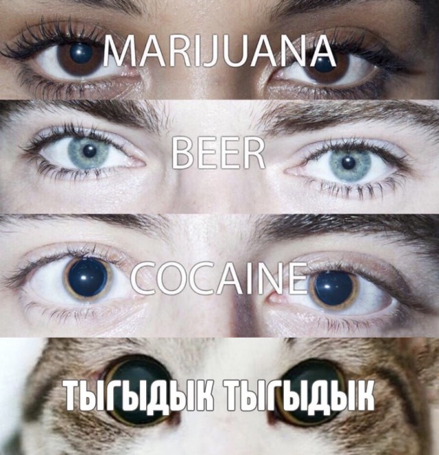 Немного картинок в это воскресенье