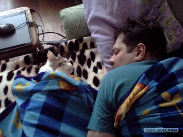 Котовторник 20.03.2012