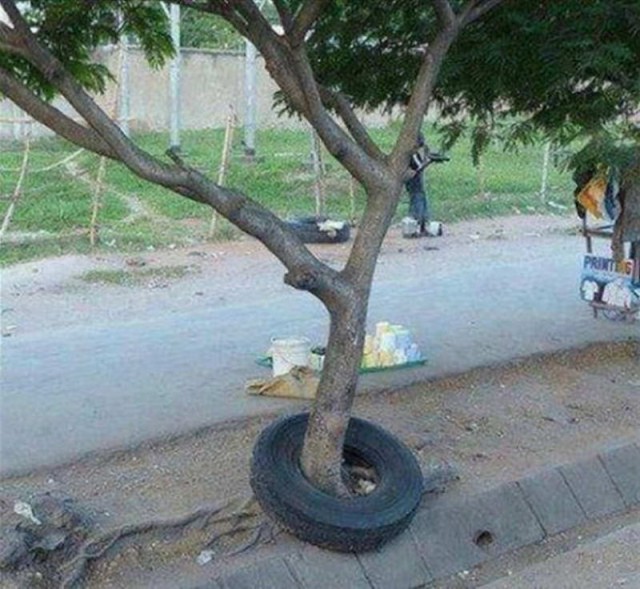 Странные фотки
