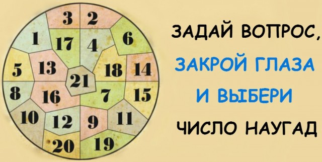 Я живу в эпицентре экологической катастрофы