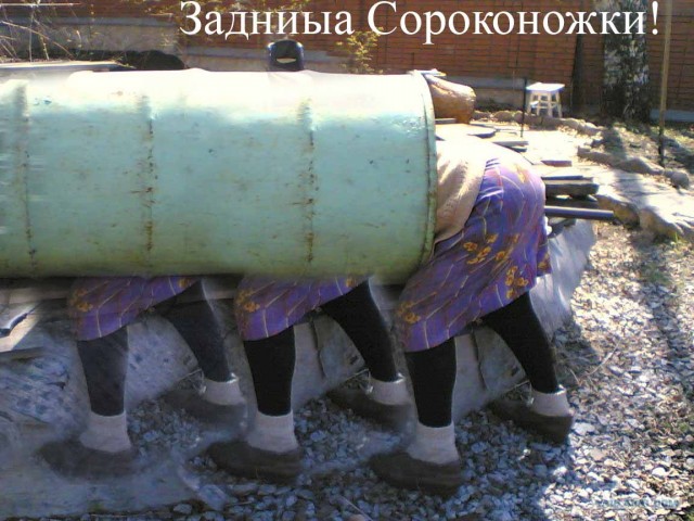 Фотожаба: Бабушкина бочка